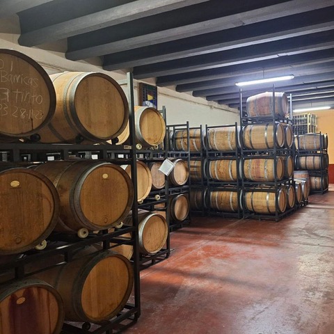 Barricas de vino