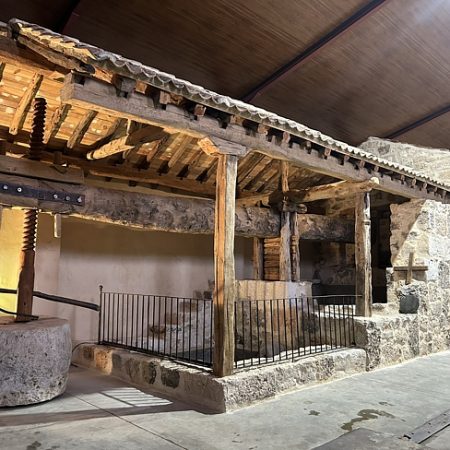 Visita Superior: Cata Severino Sanz 5 VINOS auténticos